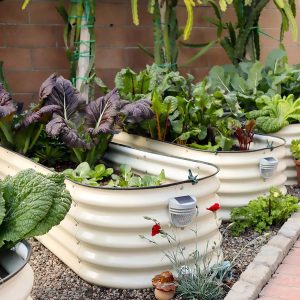 Read more about the article These 7 Best Raised Beds Will Take Your Garden to the Next Level—Literally