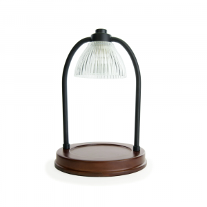 Read more about the article 20 Best Gifts Under $20 That Are Way More Impressive Than Their Price Lets On